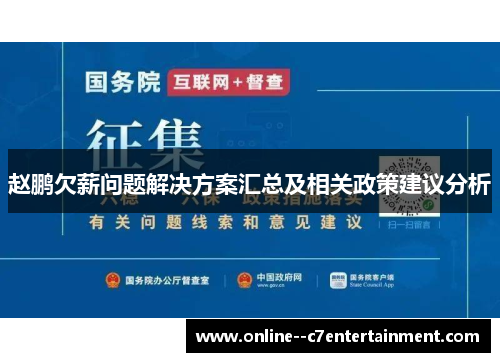 赵鹏欠薪问题解决方案汇总及相关政策建议分析